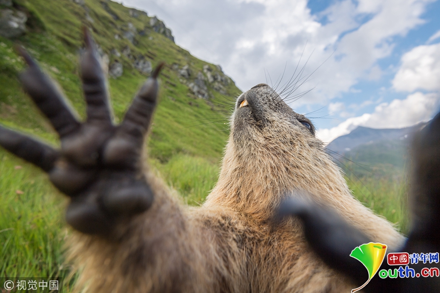 Consumer confidence index rose by 5 points in October indicating improved optimism about the economic outlook