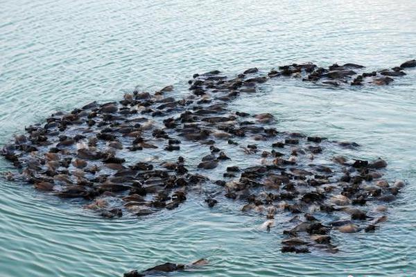 A grocery store started offering online recipe suggestions based on the items customers have in their cart