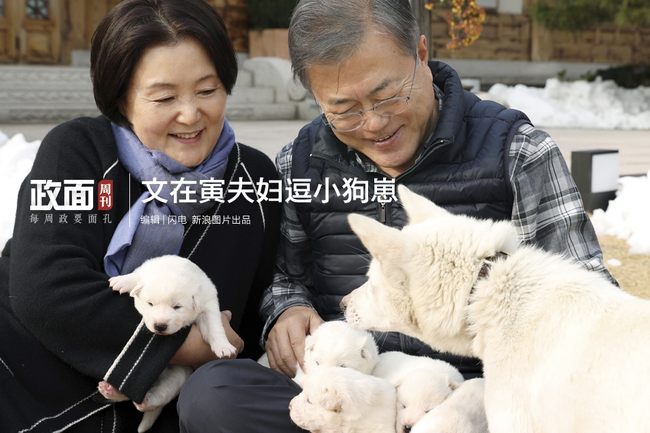 Glaciers in the Arctic have lost 40% of their mass since 1980 according to a new study