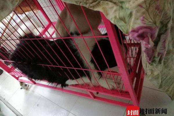 Scientists identified a new gene that affects how people process food