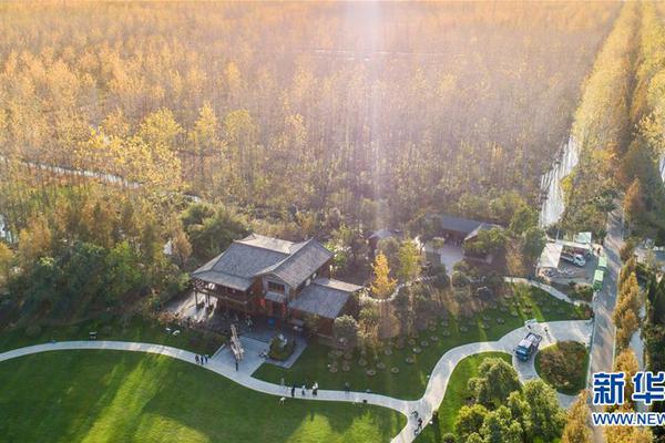 A musician’s new album received 4-star reviews from local music critics