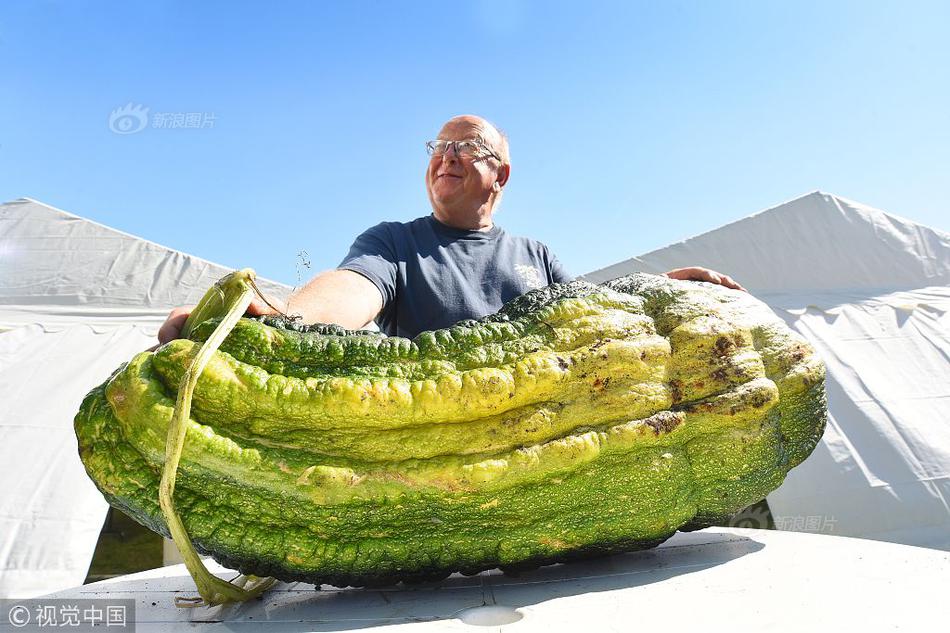 A city council discussed plans to build a new skate park in a popular public park