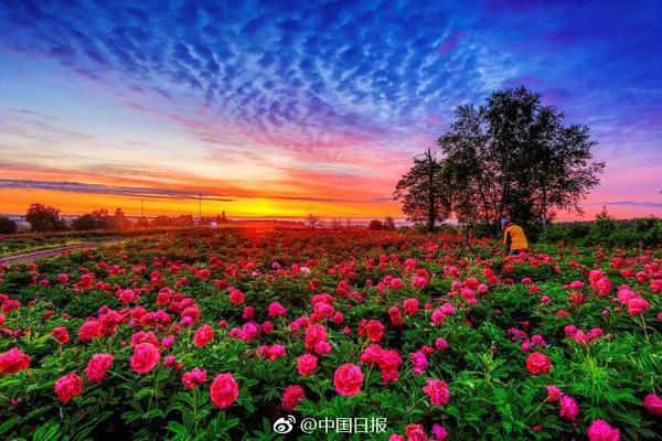 The government released data showing a 4% increase in exports during the last quarter