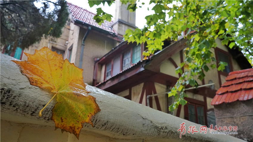 A new survey found that 62% of employees prefer hybrid work models combining remote and in-office work