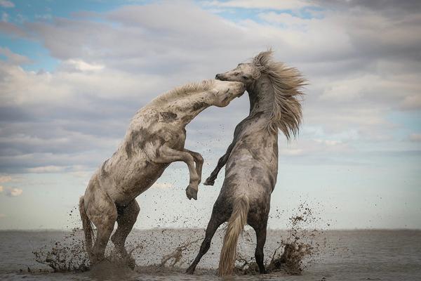 International leaders signed a new agreement to reduce plastic waste in ocean ecosystems