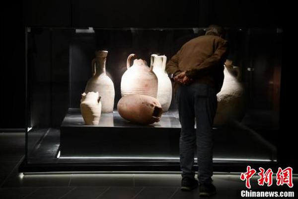 Pet groomer introduces organic grooming products for sensitive skin in pets