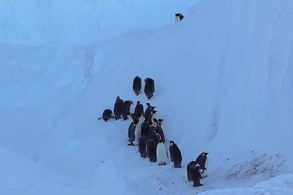 A famous athlete announced their retirement from professional sports after a 24-year career citing health reasons