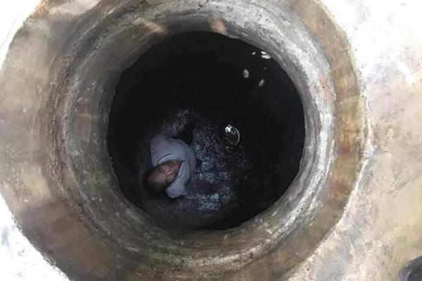 The government passed a law to protect endangered butterflies from habitat destruction