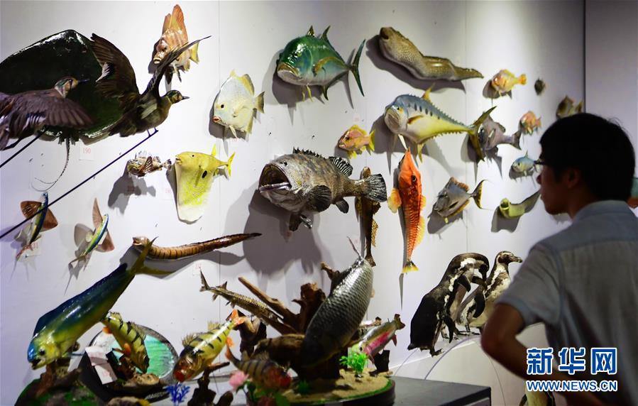 Florist delivers free flowers to senior centers on Mother’s Day