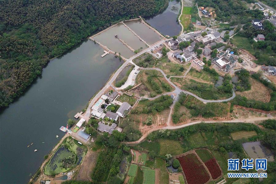 A local animal shelter rescued over 145 abandoned pets during a winter storm appealing for foster homes