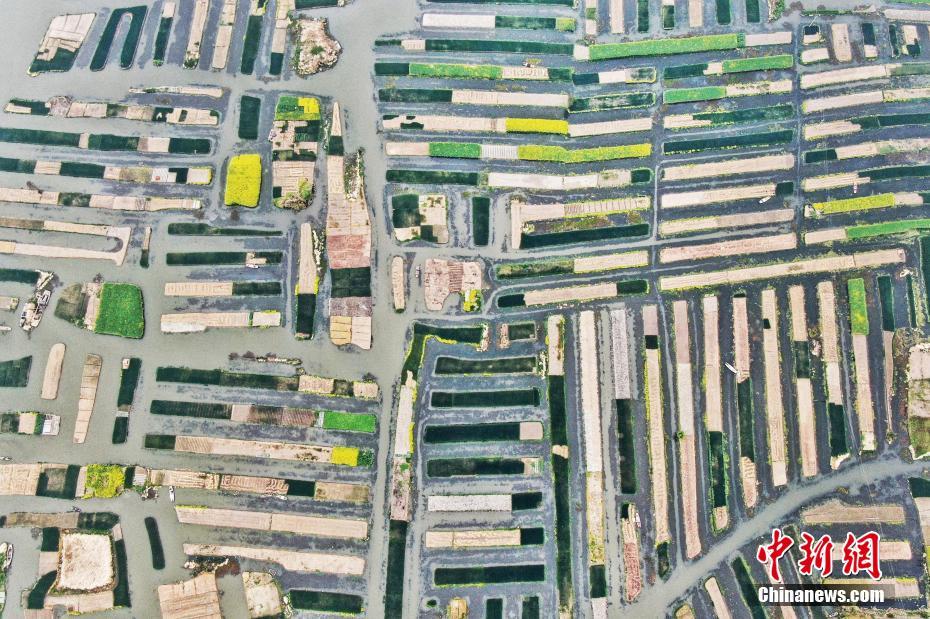 Scientists developed a new type of battery that is more environmentally friendly