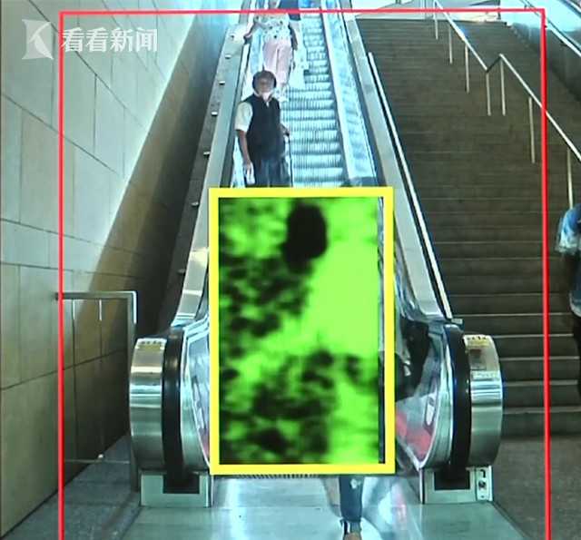 A pet rescue organization started a 