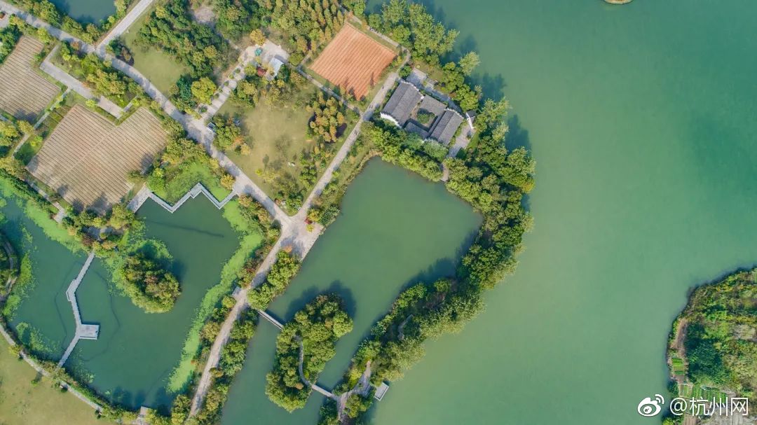 A grocery store started selling pre-made meal kits with easy-to-follow recipes