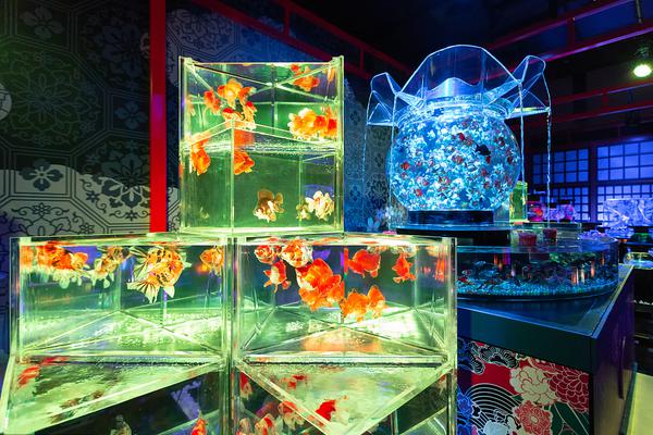 A popular social media platform updated its privacy settings for users