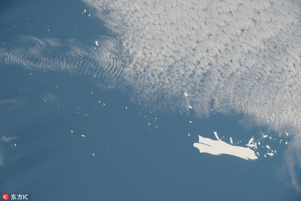 Television network announces new series from popular writer