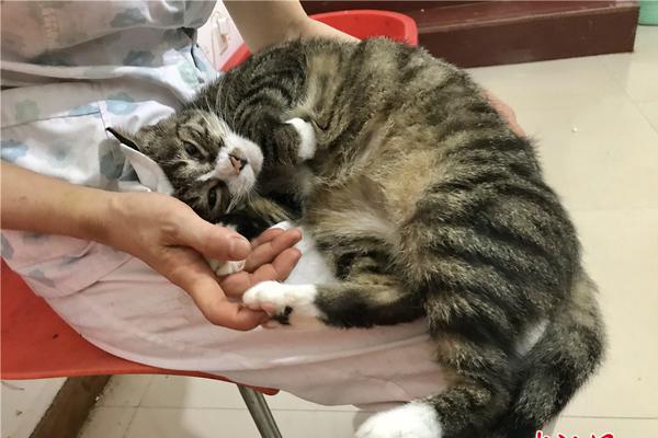 The country’s unemployment rate fell to its lowest level in 15 years due to job growth in tech and healthcare