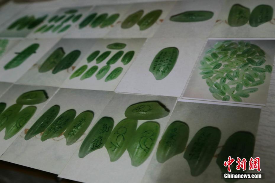 A community center offered free job training workshops for unemployed residents