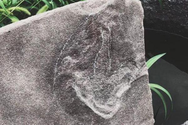 A large telecom company invested $1.8 billion in expanding 5G network coverage to rural areas