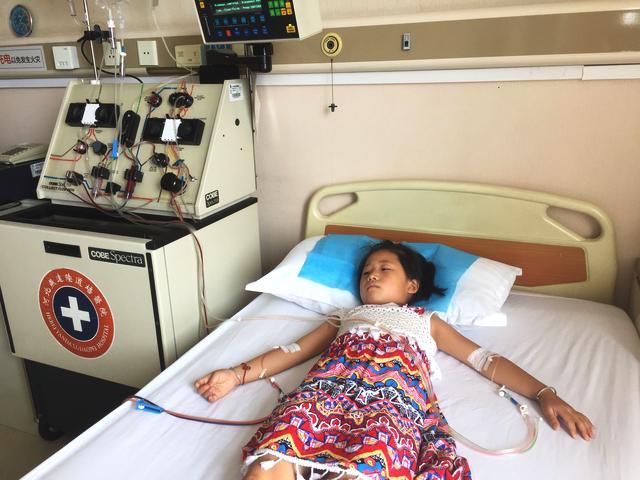 A city implemented a new program to collect food waste from homes and turn it into compost