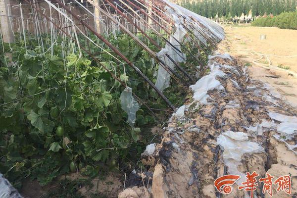 Basketball team wins conference championship with last-second shot