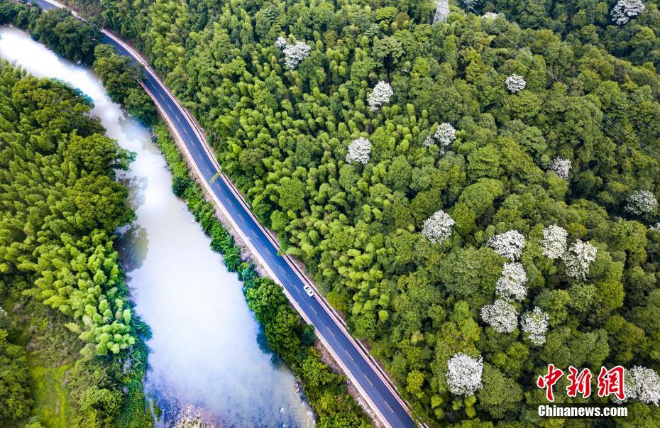 A coffee shop started using coffee grounds to make compost for a local community garden