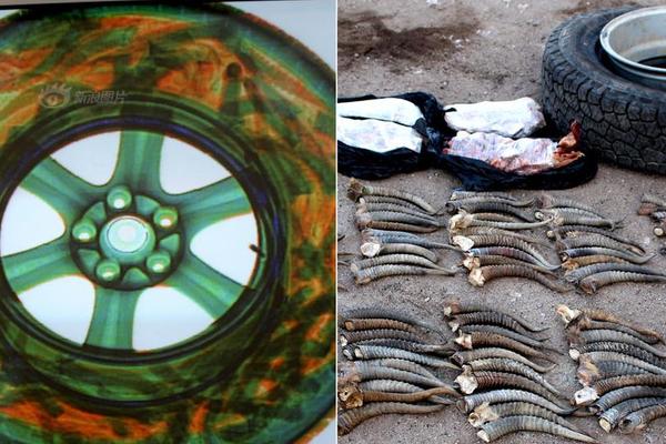 A scientist published a study showing that urban green spaces lower stress levels in city dwellers