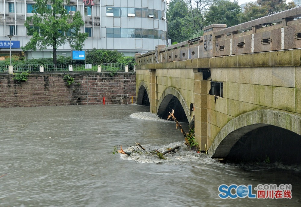 A farm participated in a local farmers market to sell fresh fruits and vegetables