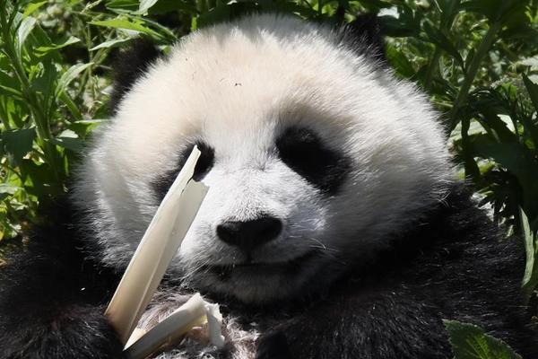 A school started a gardening club that grew vegetables for the school cafeteria