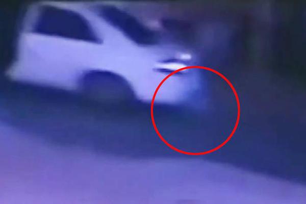 A farm started selling grass fed beef directly to consumers