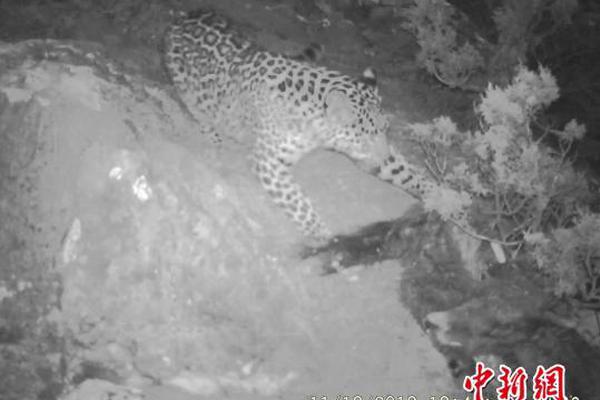 A global climate change summit ended with 120 countries committing to cut greenhouse gas emissions by 55% by 2030