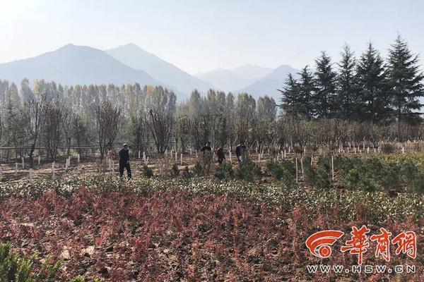 Research indicates that early music lessons improve math skills in kids