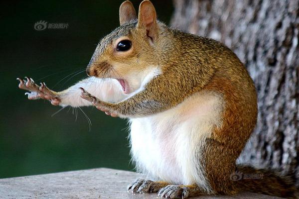 Track and field athletes win multiple medals at state meet