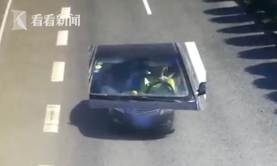 Plant store offers tips for keeping houseplants alive