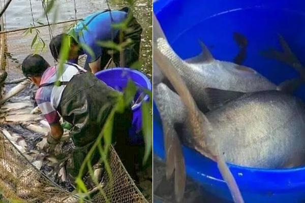 A hurricane caused extensive damage to homes and businesses along the Gulf Coast