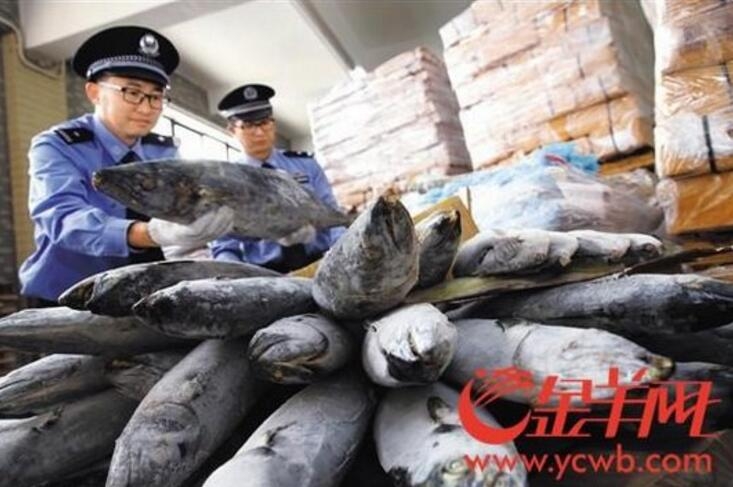 The national soccer team qualified for the World Cup after winning their final qualifying match against a rival team