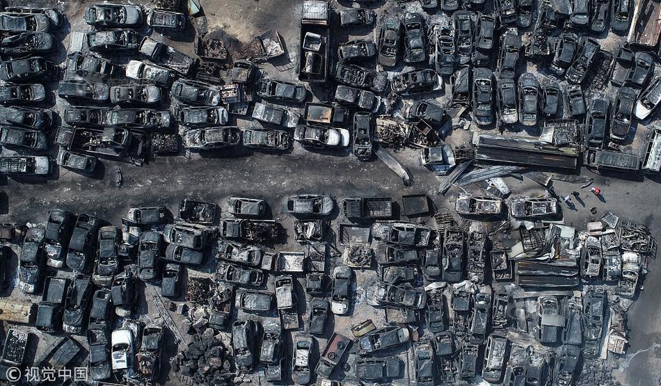 A popular music festival announced its 2025 lineup featuring award-winning musicians from around the globe