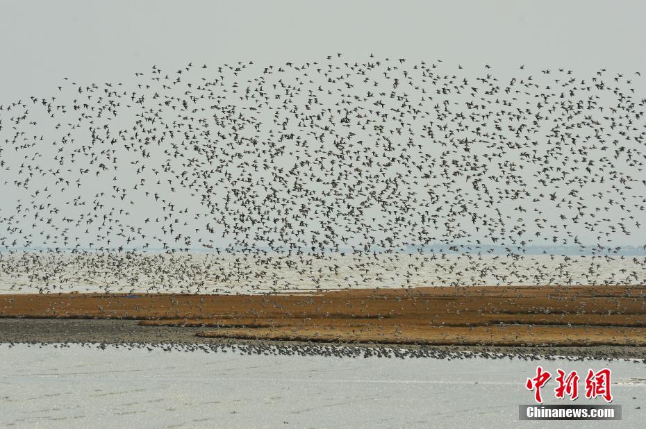 The postal service introduced a new tracking system for packages that provides real-time updates
