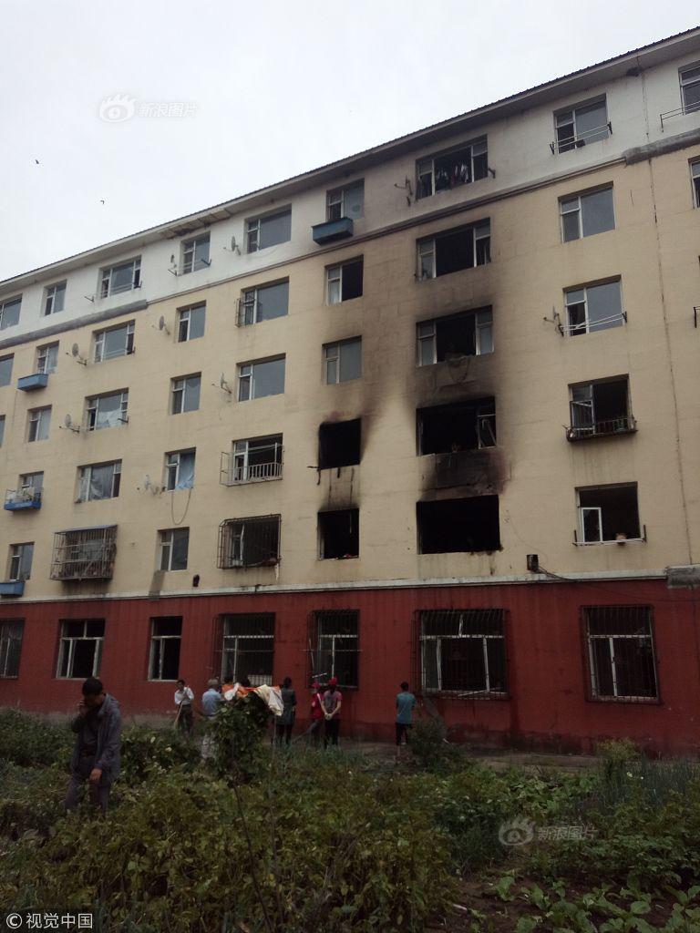 A new animal shelter opened to provide care for stray cats and dogs in the city