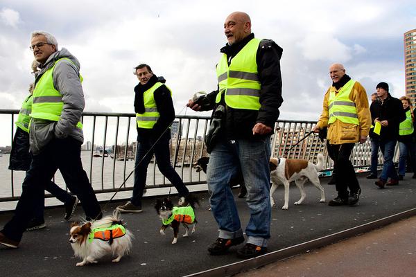 Doctors developed a new treatment for asthma that works faster and has fewer side effects