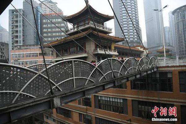 Wildlife sanctuary releases rehabilitated animals back into their natural habitat