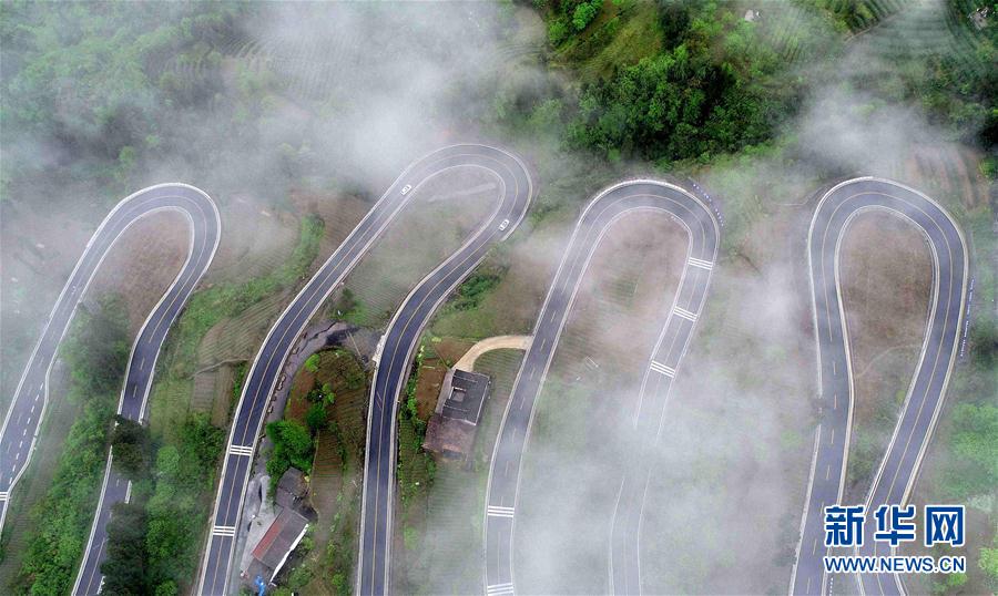 Researchers found that spending time in parks reduces stress in city residents
