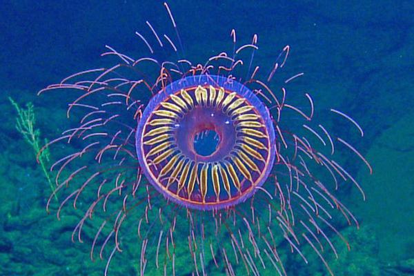 A research study found that using public transit instead of driving can reduce an individual’s carbon footprint by 60%.