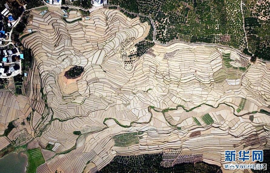 A popular pizza chain announced plans to open 40 new locations in midwestern states next year