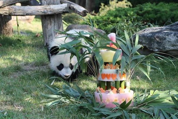 A leading streaming service released a docuseries about endangered species conservation