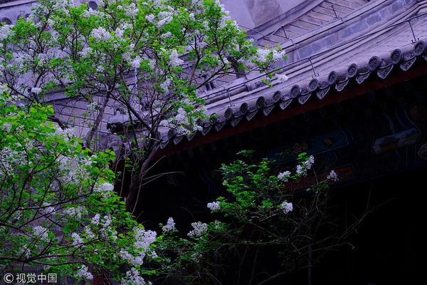 A popular coffee chain announced it will phase out plastic cups entirely by the end of next year