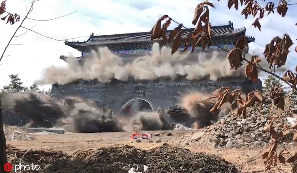 A study revealed that dog owners have lower stress levels than non-dog owners