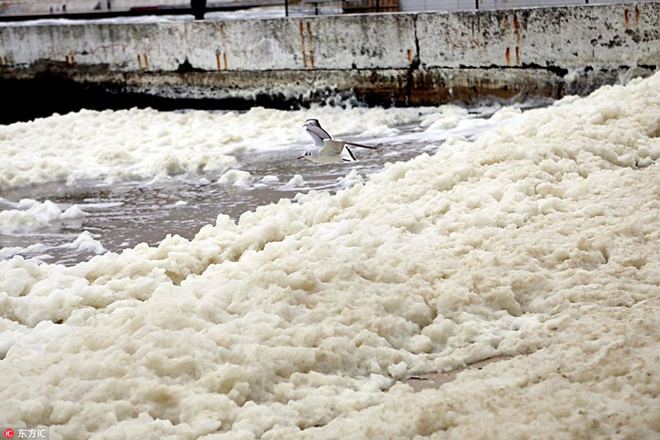 A popular coffee chain announced plans to open several new locations in the area