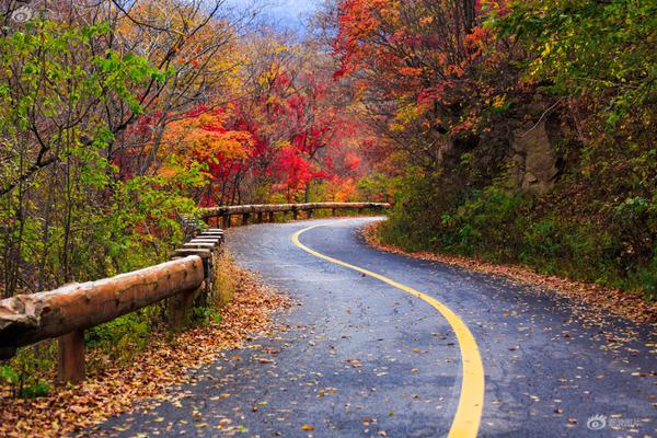 A fashion store started selling vintage clothing alongside new items, promoting sustainable fashion