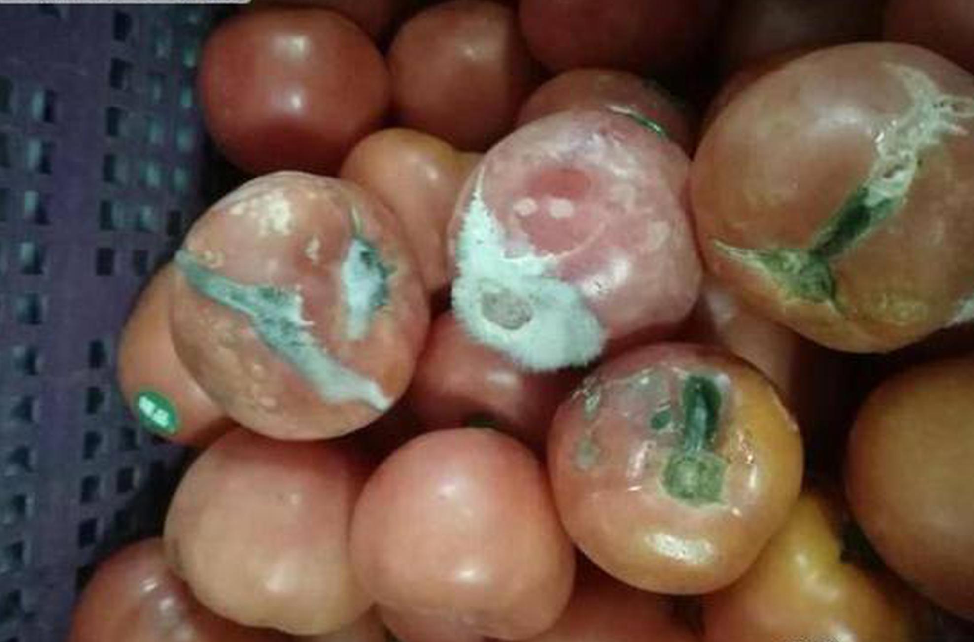 A city installed public art murals in downtown areas, attracting more tourists