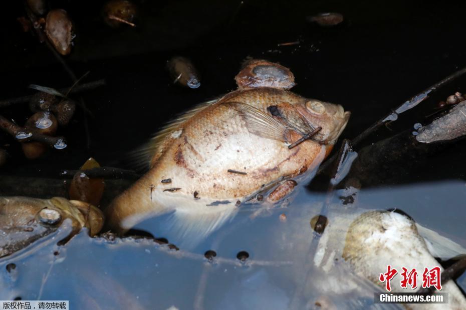 A new study revealed that excessive social media use is linked to feelings of loneliness in teens